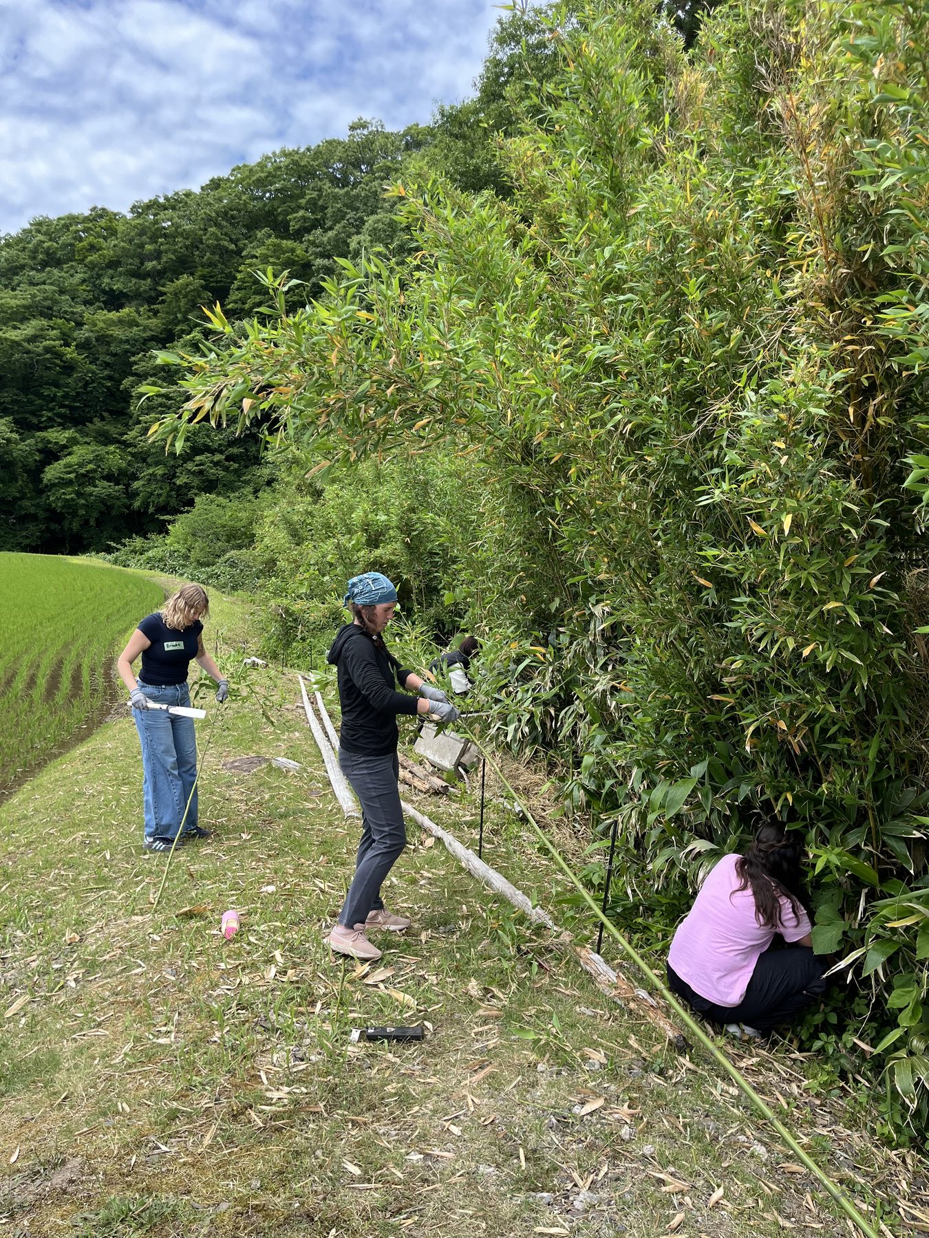 News from Japan: Hands-on Exploration in Traditional Japan (Part 2) - Photo 22