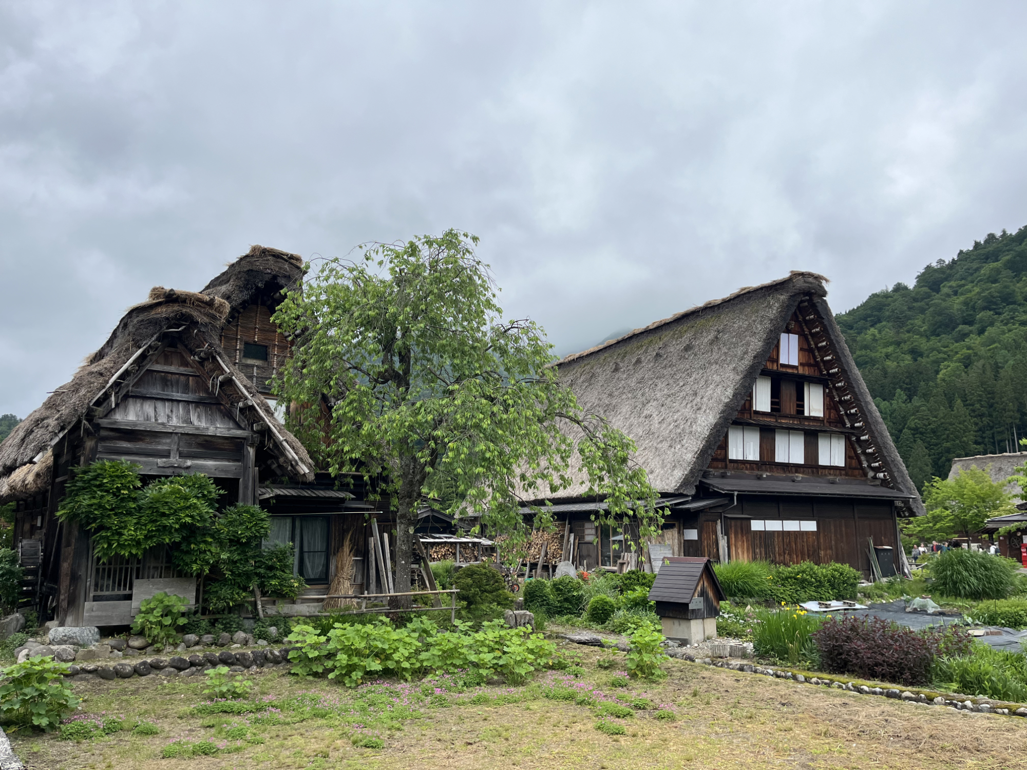 Hands-on Japan trip in summer 2026: now enrolling by Feb 15!